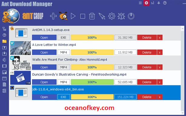 Ant Download Manager key